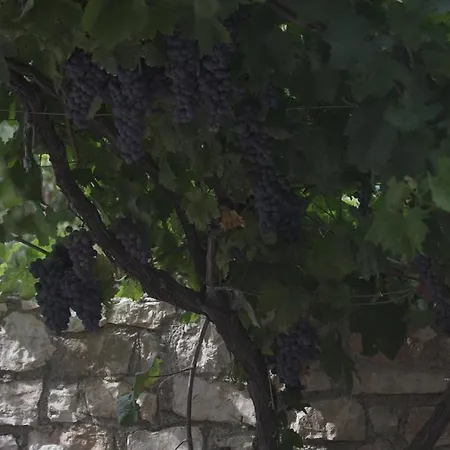 Albania-secret Village Den * Саранда